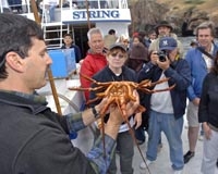 Shark baiting, hagfish viewing and Catalina Isthmus on June 11