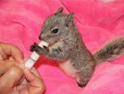 Open House at California Wildlife Center on April 30