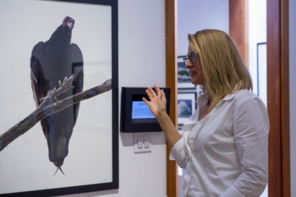 MaHarry and the vulture that started her avian quest - photo by Martha Benedict