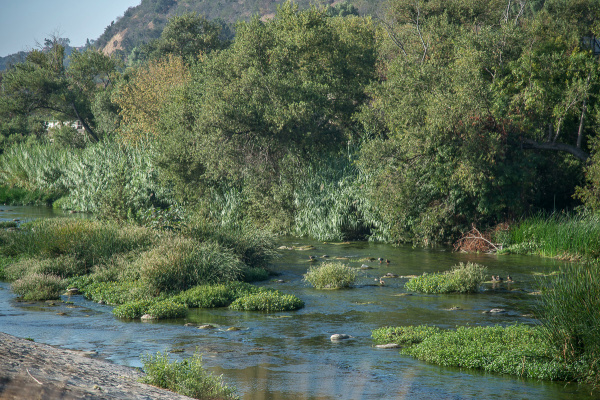 Keeping it ‘Messy’ at the L.A. River