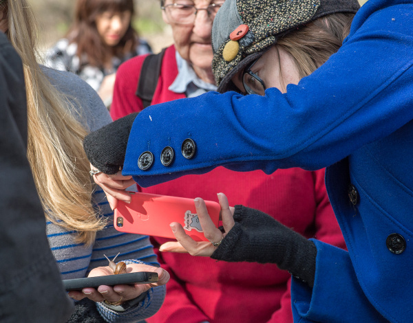 SNAIL PAPPARAZZI - A recent find brings out the cameras. 