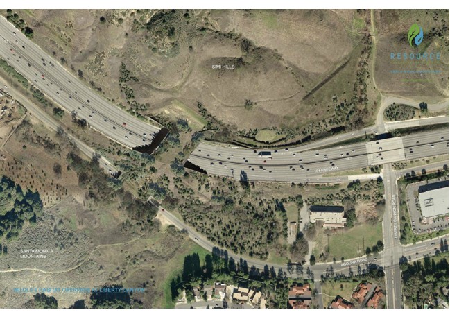 A POSSIBLE LOOK ABOVE: The overcrossing will connect landscap. RENDERING by Clark Stevens, Resource Conservation District f the Santa Monica Mountains