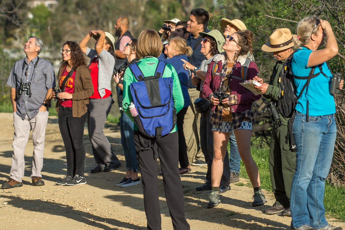 birdcount=watchers