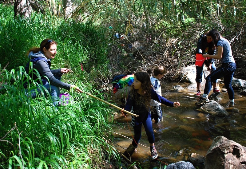 LOCATION, LOCATION, LOCATION - Finding the best crayfish hunting spot takes time.