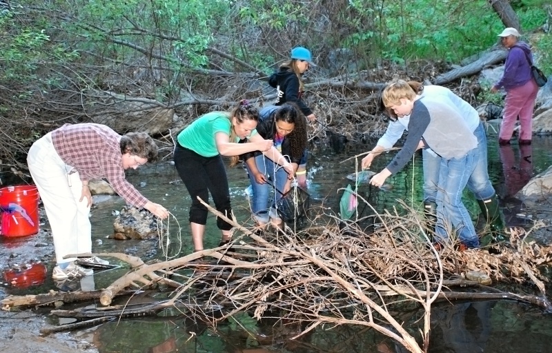 CATCHING THEM AT HOME - Crayfish hunters searched typical hiding spots, like underneath debris.