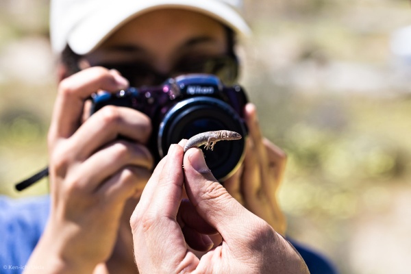 The Nature of iNaturalist