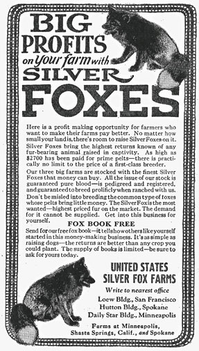 foxfarmad1924